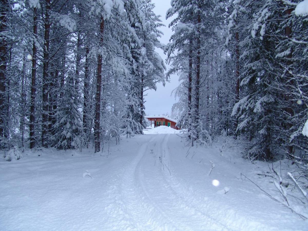 Northern Lights Lapland Villa Hosio Exterior photo